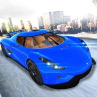 項目賽車