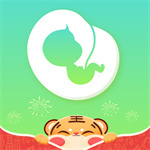 孕期伴侶