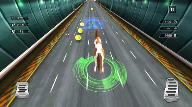 無(wú)盡公路動(dòng)物賽跑2