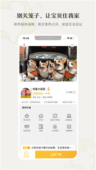 小狗在家寵物寄養(yǎng)3