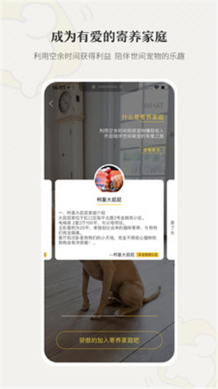 小狗在家寵物寄養(yǎng)2