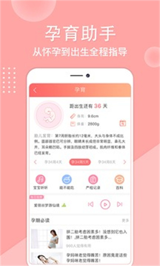 親寶貝3