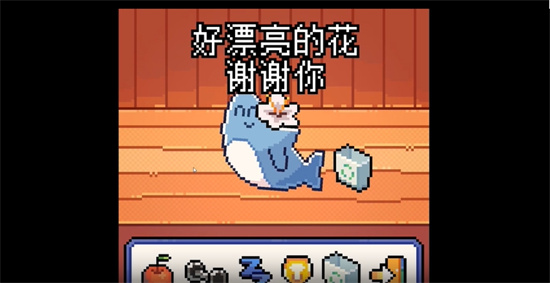 我的小鯊魚0