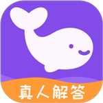 準準app