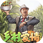 鄉村愛情之經營人生內購版