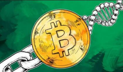比特幣難道要交稅嗎-比特幣是需要交稅的