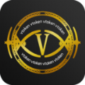 Vtokenv6.5