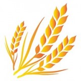 GTC谷特幣v6.3.7