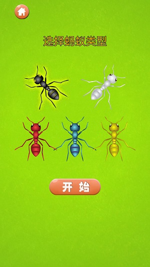 螞蟻大戰(zhàn)0
