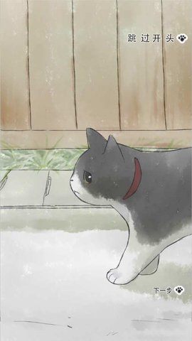 迷途貓1