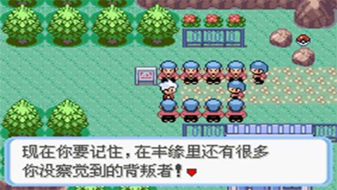 口袋妖怪蛇紋木0