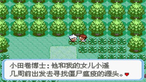 口袋妖怪蛇紋木2