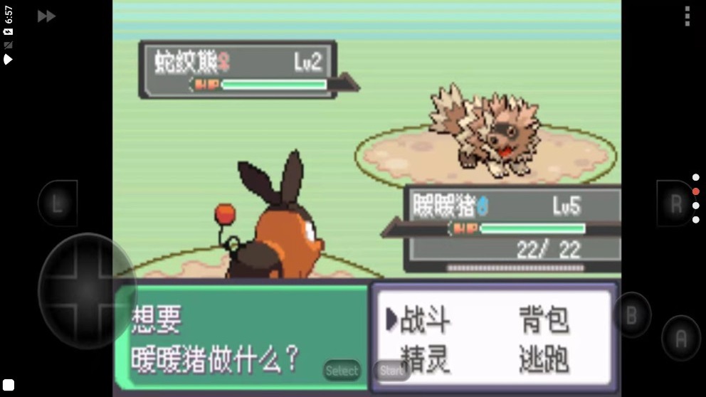 口袋妖怪起源心金1
