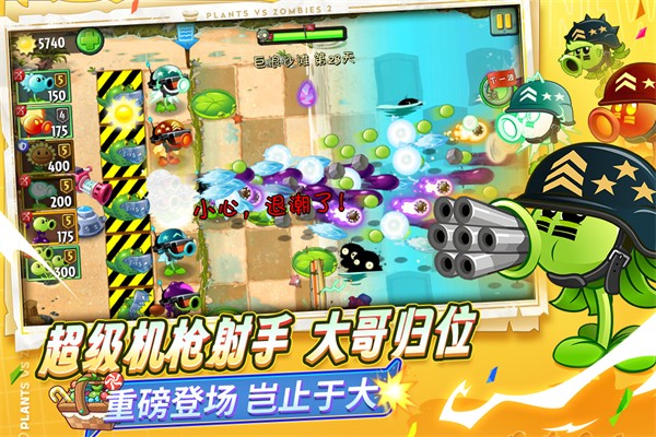 pvz22