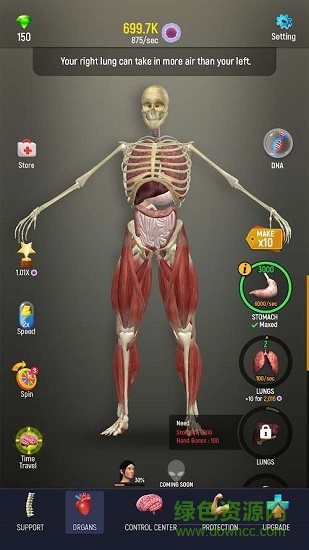 人體模型模擬器0