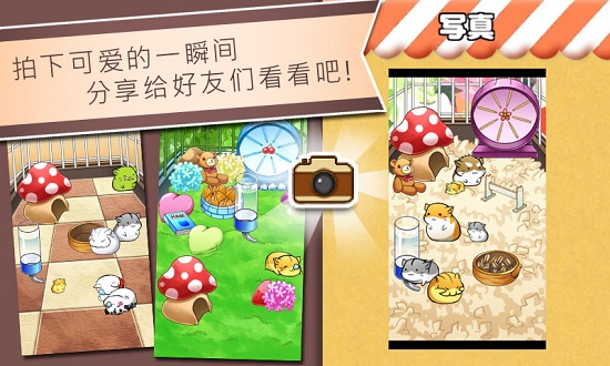 倉鼠的日常中文版3