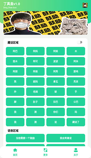 丁真盒 v1.00