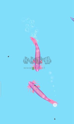 我要召喚神龍破解版 v.1.5.052