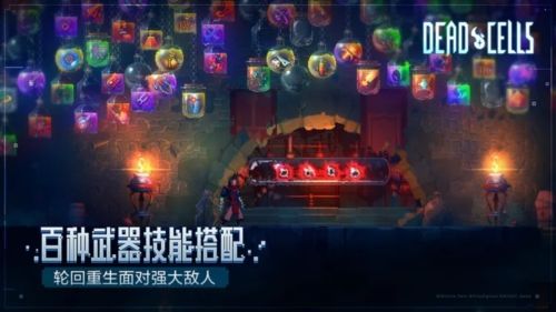 重生細胞破解版 v.3.3.18移植版3