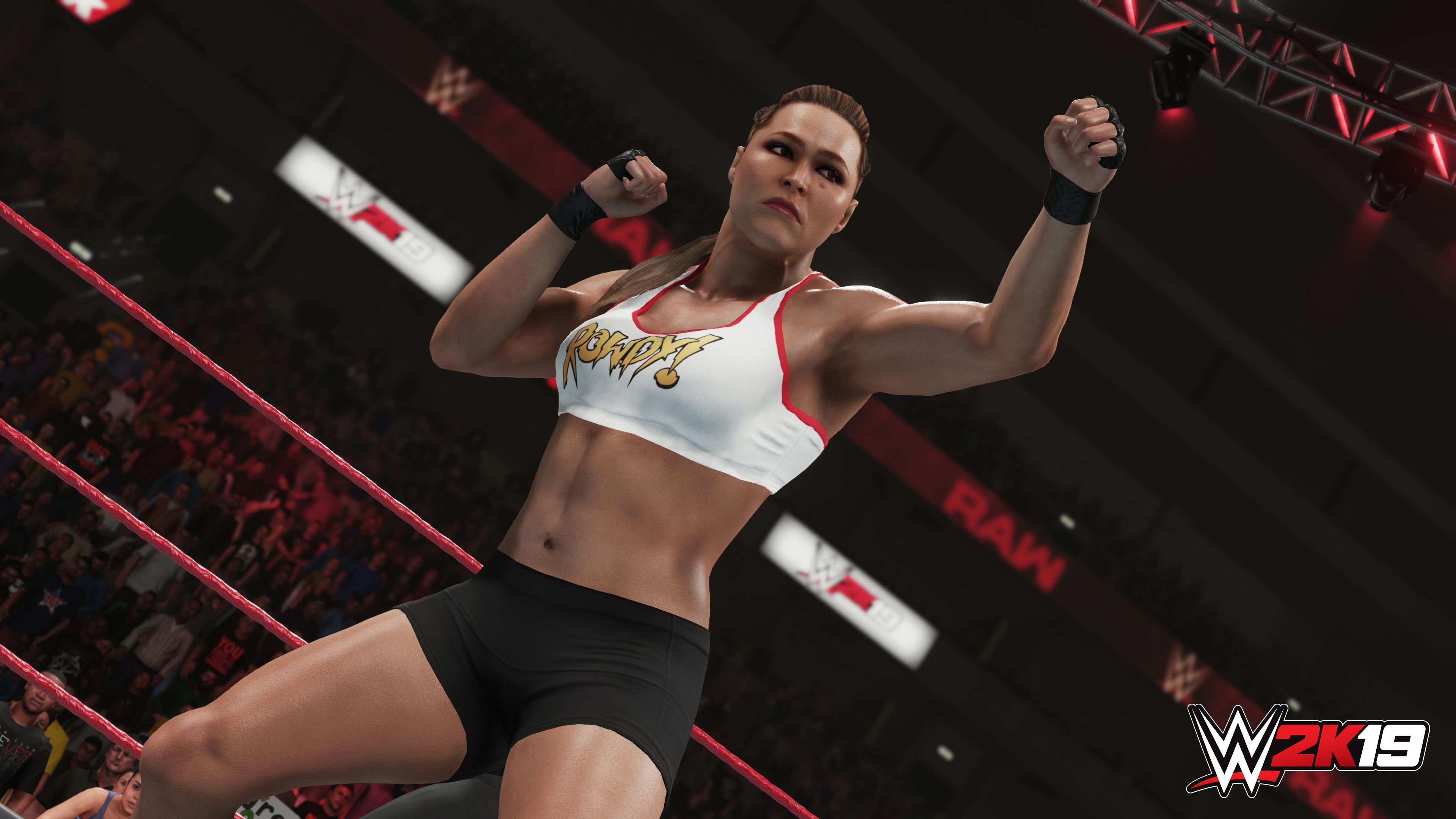 WWE2K19(格斗類游戲) v2.6.7 安卓手機版2