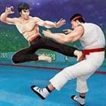 功夫大師手游(動作格斗手游) v3.5.1最新版