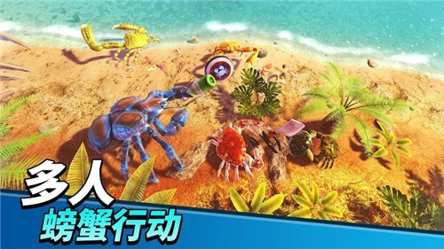 螃蟹之王3