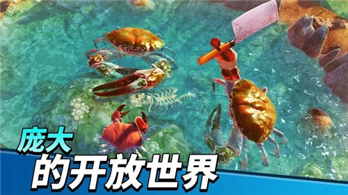 螃蟹之王2