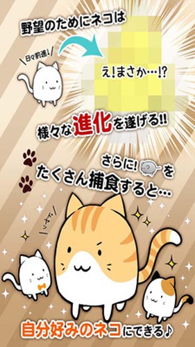 這是貓咪嗎1
