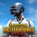 pubg體驗服 正版