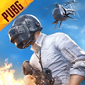 pubg國(guó)際服地鐵逃生 官網(wǎng)版下載