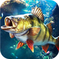 歡樂釣魚大師 正版官網(wǎng)下載安裝最新版
