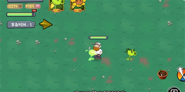 植物大戰僵尸肉鴿版