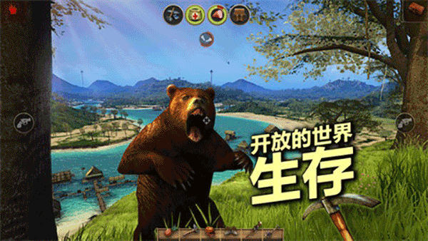輻射島高級版4