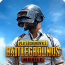 地鐵逃生pubg國(guó)際服免費(fèi)正版