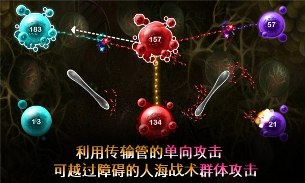 繁殖戰(zhàn)爭21