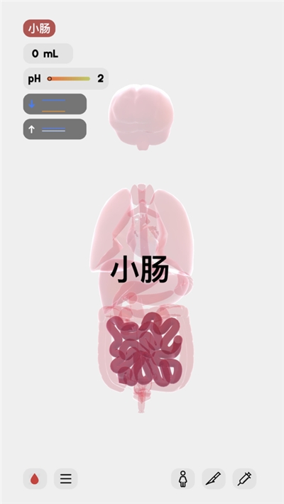 生命LIFE官網安卓版2