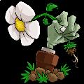 植物大戰(zhàn)僵尸2騰訊社交版