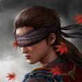 影子獵人的傳說中文版