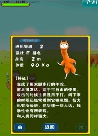 兄貴羊駝3