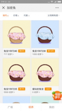加密兔0