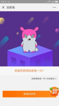 加密兔1