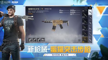 和平精英體驗服 免費4