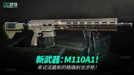 PUBG NEW STATE3