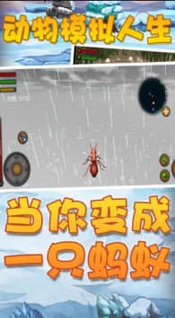 動物模擬人生3