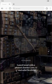 pottermore守護神測試2