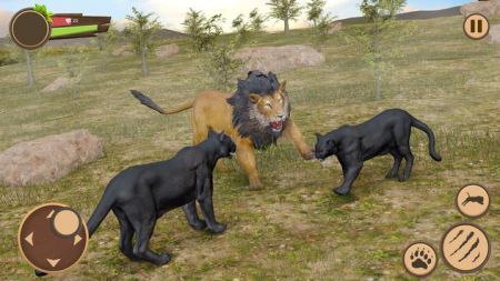 黑豹Black Panther0