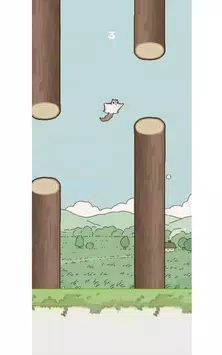 飛鼠Flying Squirrel1