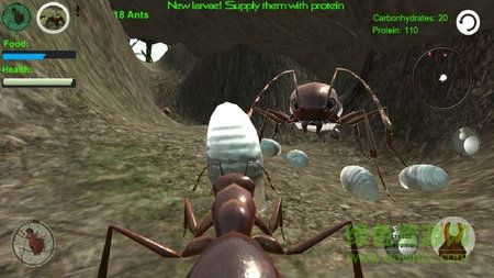 螞蟻模擬器3DAnt Simulation 3D1