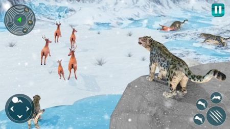 野生雪豹模擬器Snow Leopard0
