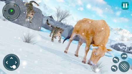野生雪豹模擬器Snow Leopard1